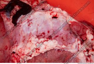 Photo Textures of RAW Pork Meat